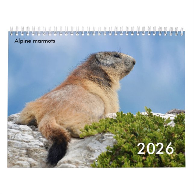 Kalender 2023 (Titelbild)