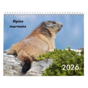 Kalender 2023