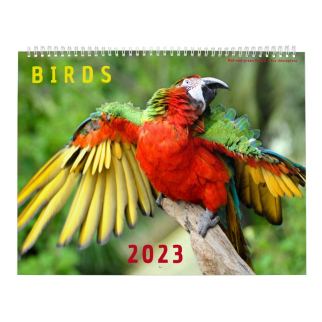 Kalender 2023 der Fotos verschiedener Vogelarten (Titelbild)