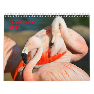 Kalender 2023 Flamingos