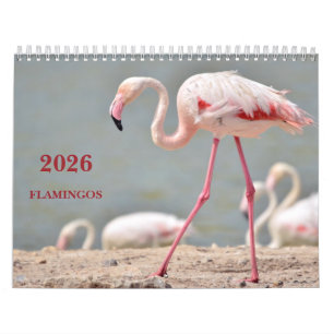 Kalender 2023 Flamingos