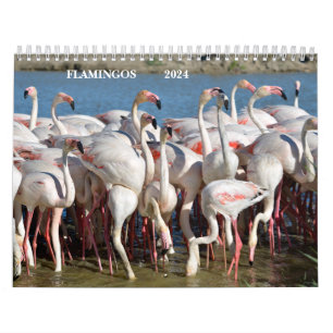 Kalender 2023 Flamingos
