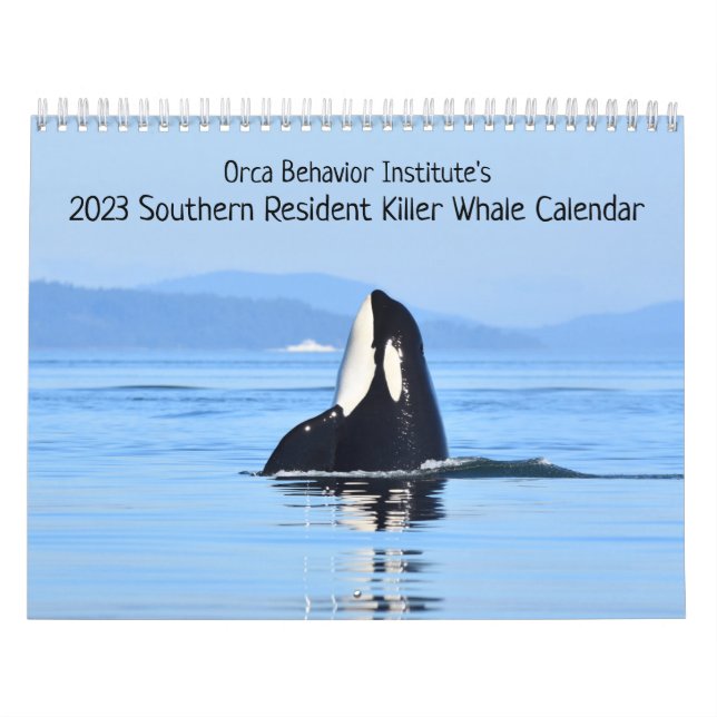 Kalender 2023 für den südlichen Killerwal (Titelbild)