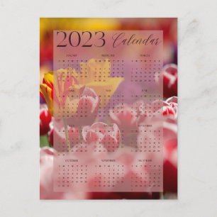 Kalender 2023 Tulip Postkarte