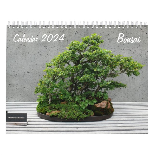 Kalender 2024 mit Bonsai (Titelbild)