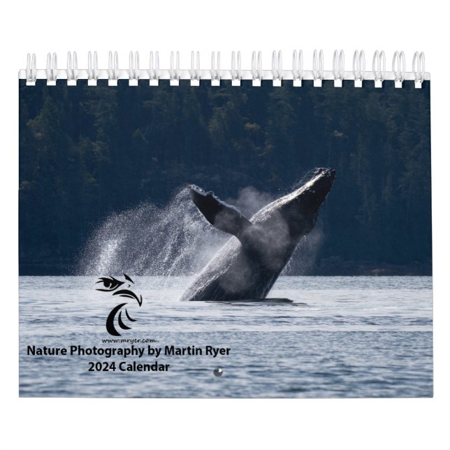 Kalender 2024 mit Humpback Whales (Titelbild)