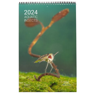 Kalender 2024 - Wasserinsekten