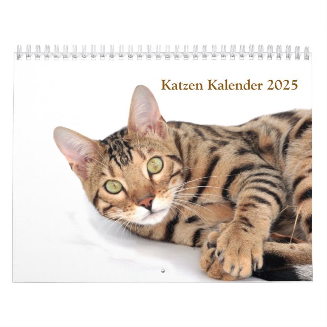 Kalender 2025 Cat Lover Katzen (Titelbild)