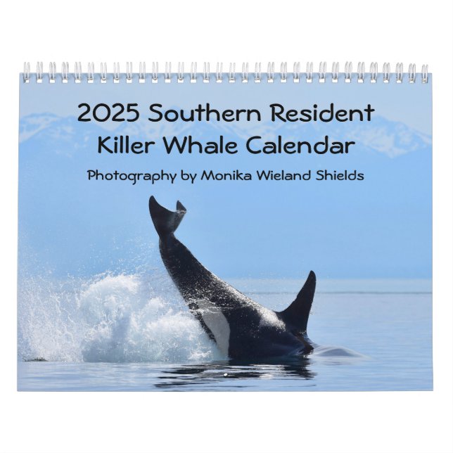 Kalender 2025 für den südlichen Killerwal (Titelbild)