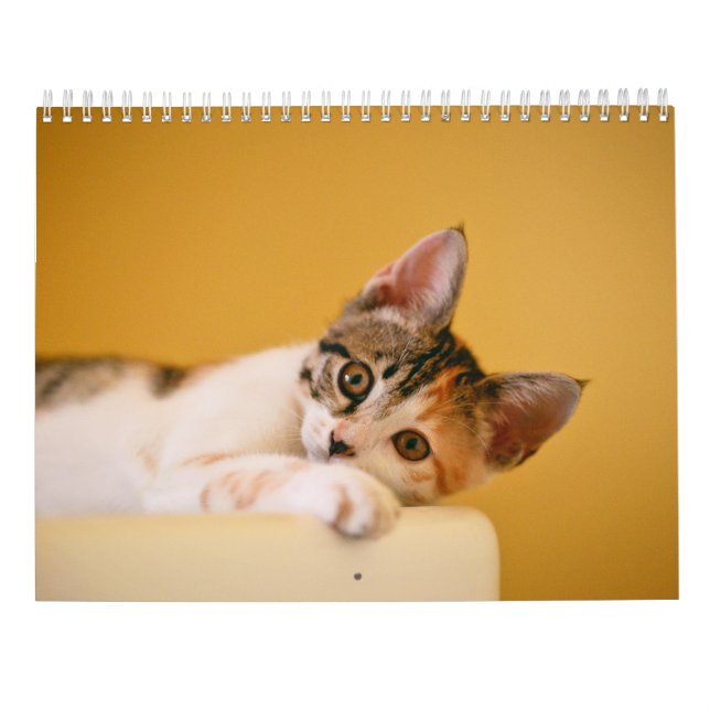 Kalender 2025 Pfeifen und Whiskers (Rückseite)