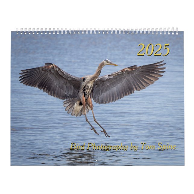 Kalender 2025 - Vogelfotos von Tom Spine (Titelbild)