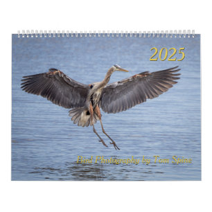 Kalender 2025 - Vogelfotos von Tom Spine