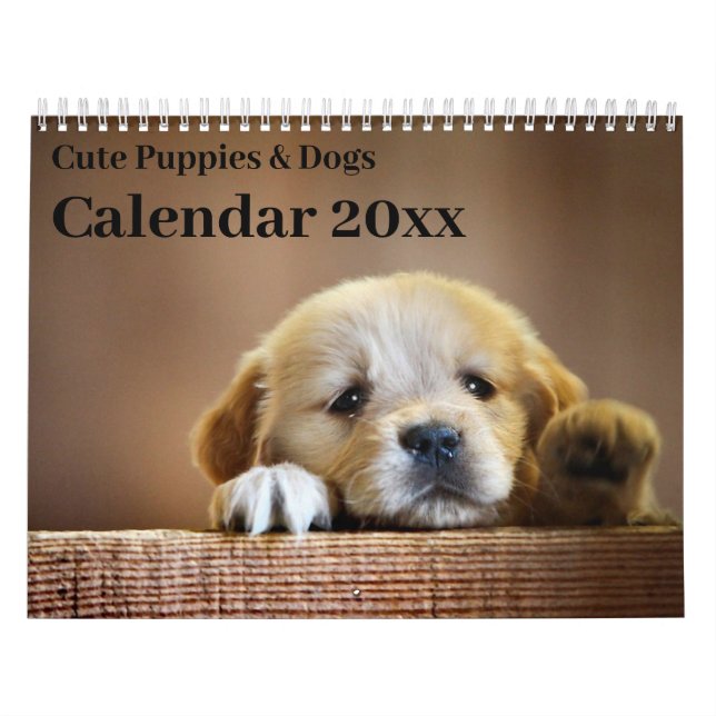 Kalender 20xx - Niedliche Welpen und Hunde (Titelbild)