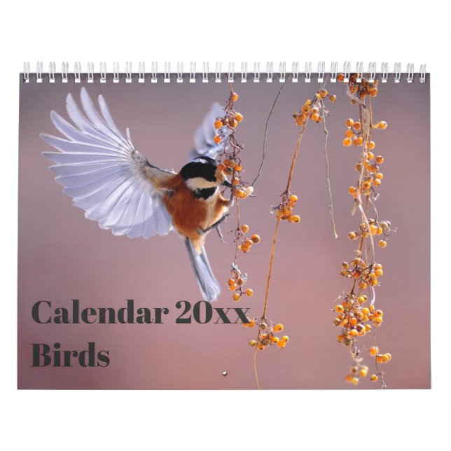 Kalender 20xx - Vögel (Titelbild)