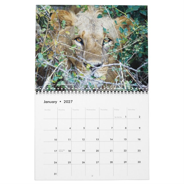 Kalender - Afrika auf Safari (Jan 2027)