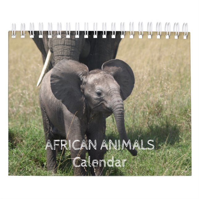 Kalender afrikanischer Tiere (Titelbild)