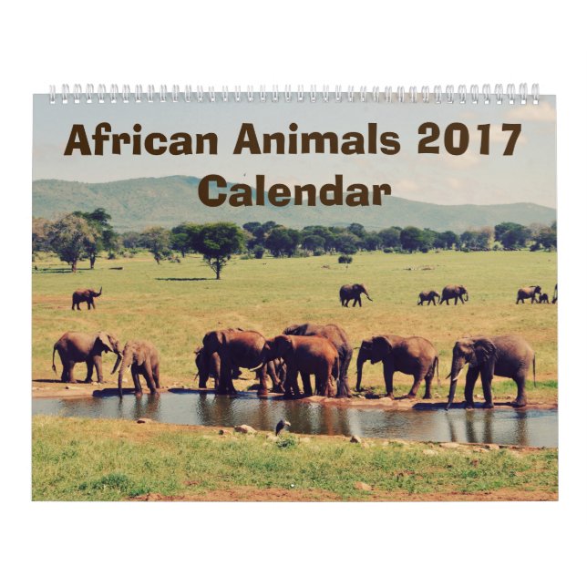 Kalender afrikanischer Tiere (Titelbild)