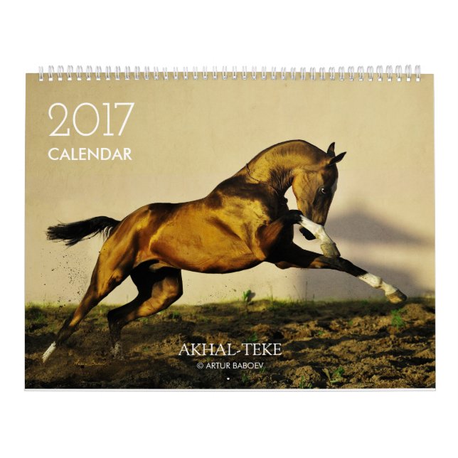Kalender. Akhal-teke PFERDE. 2017 Kalender (Titelbild)