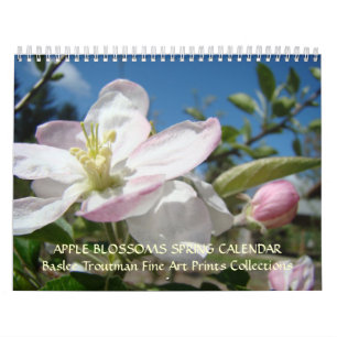 KALENDER APPELBLÜTE Kalender Frühlings Kunst