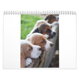 Kalender Basset 2019