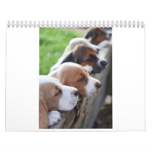 Kalender Basset 2019