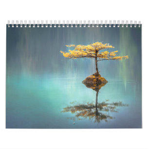KALENDER: BAUM AUF EINER INSEL KALENDER