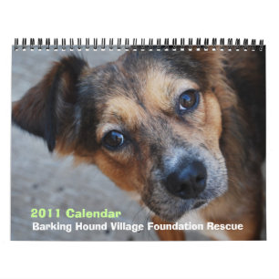 Kalender BHVF Rettungs-2011