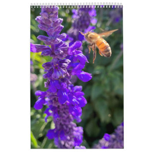 Kalender Bienen Schmetterlinge