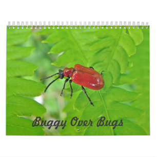 Kalender - Buggy über Bugs