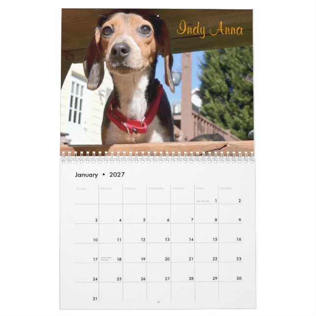 Kalender der Atlanta-Beagle-Rettungs-2015 (Jan 2027)