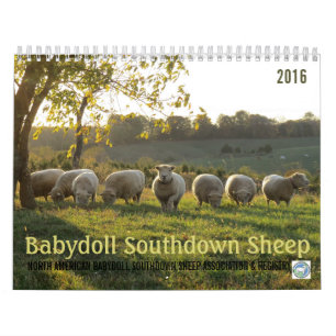 Kalender der Babydoll-Southdownschaf-2016 NABSSAR
