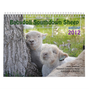 Kalender der Babydoll-Southdownschafe 2012 NABSSAR