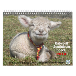 Kalender der Babydoll-Southdownschafe 2014 NABSSAR