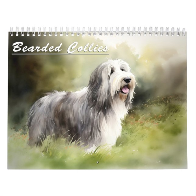 Kalender der bärtigen Colliese jedes Jahr (Titelbild)