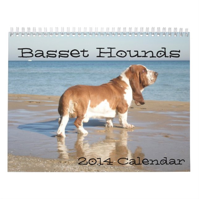 Kalender der Basset-2012 (Titelbild)