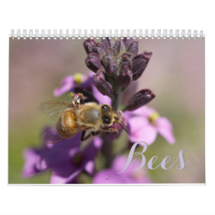 KALENDER DER BIENEN-DIY