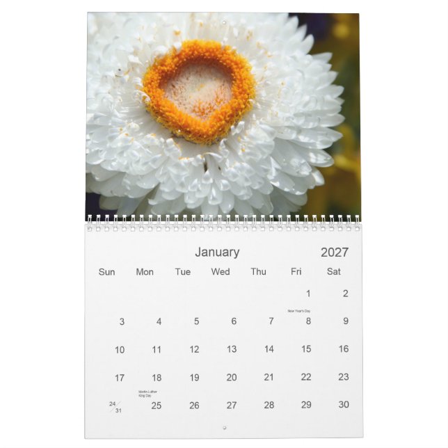 Kalender der Blumen (Jan 2027)