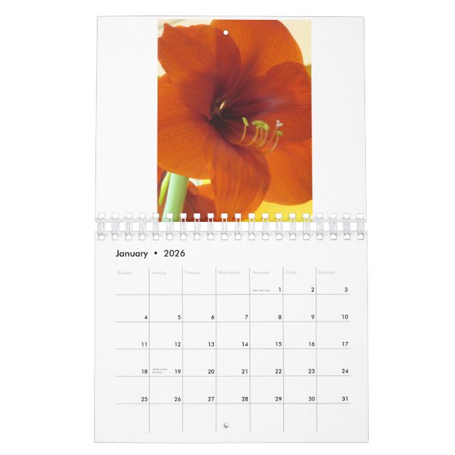 Kalender der Blumen-2013 (Jan 2026)