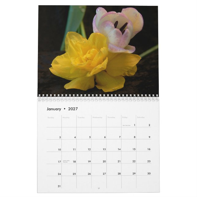 Kalender der Blumen-Portraits-2015 (Jan 2027)