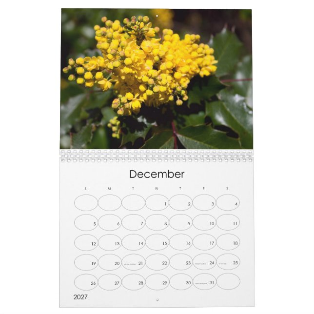 Kalender der Blumenexplosion 2024 (Dez 2027)