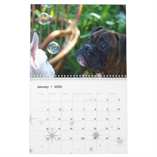 Kalender der Boxer-2012 (Jan 2026)