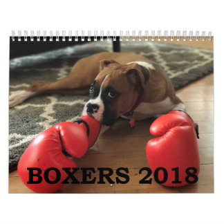 KALENDER DER BOXER-2018