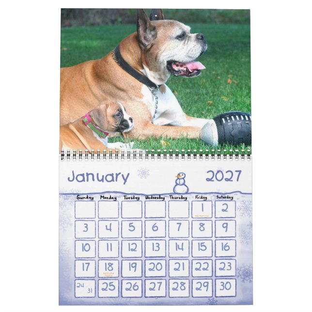 Kalender der Boxer-Welpen-2010 (Jan 2027)