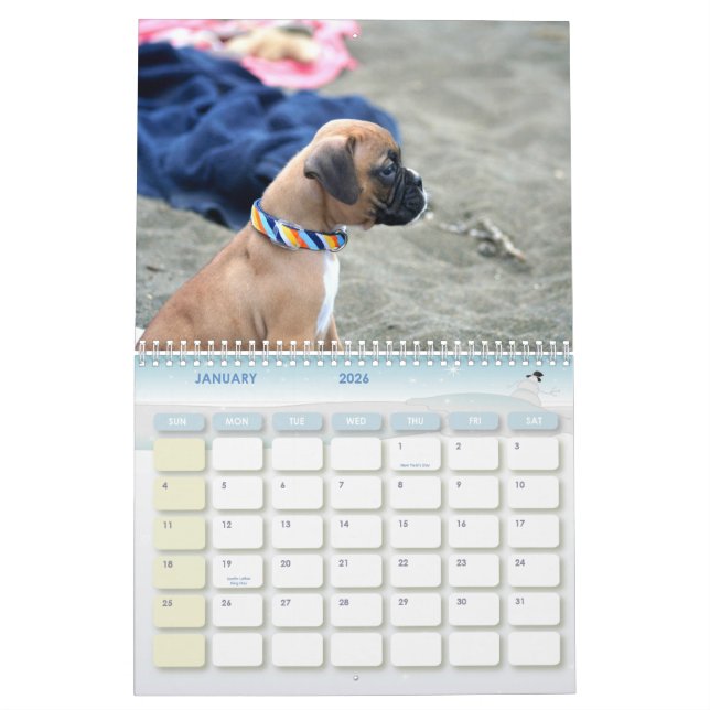 Kalender der Boxer-Welpen-2011 (Jan 2026)