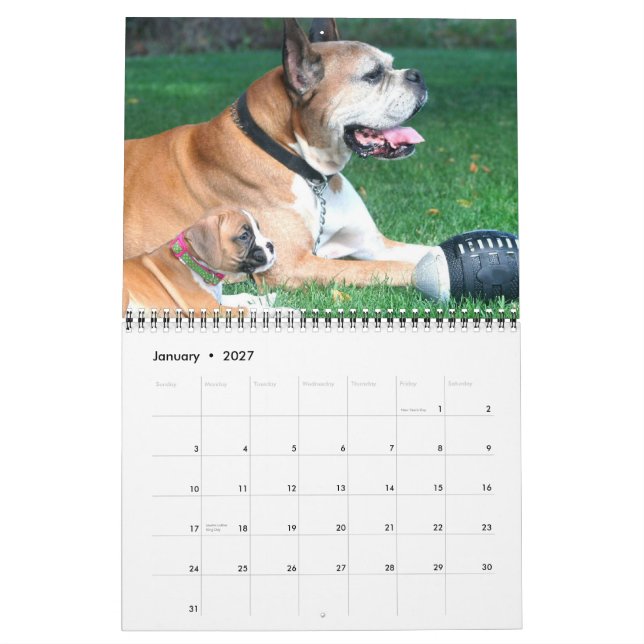 Kalender der Boxer-Welpen-2015 (Jan 2027)