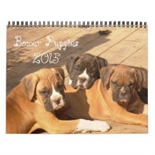 Kalender der Boxer-Welpen-2015