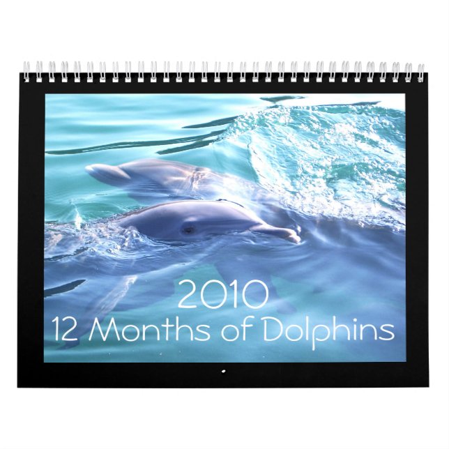 Kalender der Delphin-2010 (Titelbild)