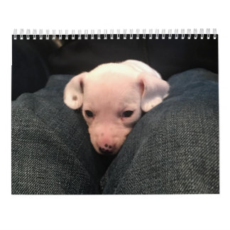 Kalender der doppelten Dackel