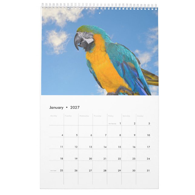Kalender der gemischten Tiere und Vögel (Jan 2027)