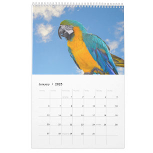 Kalender der gemischten Tiere und Vögel